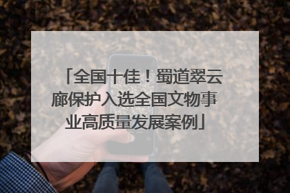 全国十佳！蜀道翠云廊保护入选全国文物事业高质量发展案例