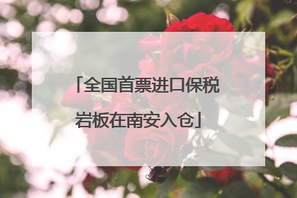 全国首票进口保税岩板在南安入仓