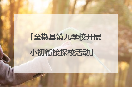 全椒县第九学校开展小初衔接探校活动