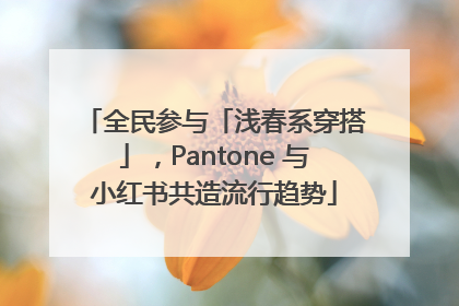 全民参与「浅春系穿搭」，Pantone 与小红书共造流行趋势
