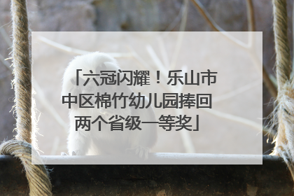 六冠闪耀！乐山市中区棉竹幼儿园捧回两个省级一等奖