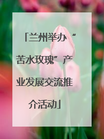 兰州举办“苦水玫瑰”产业发展交流推介活动