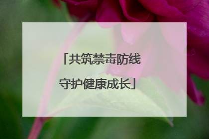 共筑禁毒防线 守护健康成长