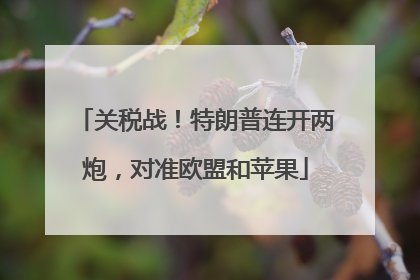 关税战！特朗普连开两炮，对准欧盟和苹果
