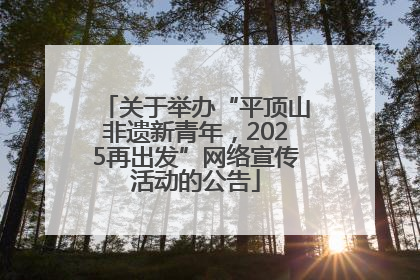 关于举办“平顶山非遗新青年，2025再出发”网络宣传活动的公告