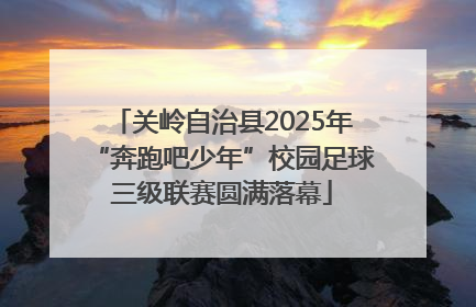 关岭自治县2025年“奔跑吧少年”校园足球三级联赛圆满落幕