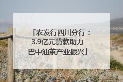 农发行四川分行：3.9亿元贷款助力巴中油茶产业振兴