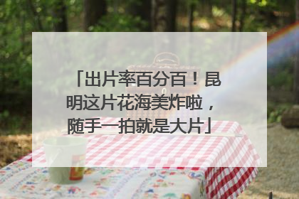出片率百分百！昆明这片花海美炸啦，随手一拍就是大片