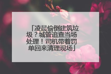 凌晨偷倒建筑垃圾？城管追查当场处理！司机带着罚单回来清理现场
