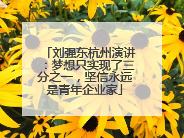 刘强东杭州演讲：梦想只实现了三分之一，坚信永远是青年企业家