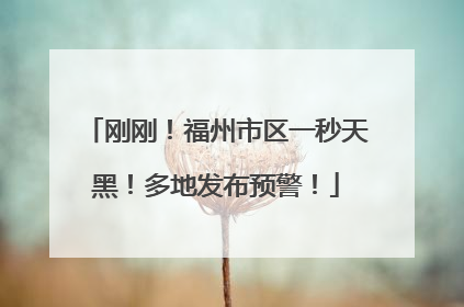 刚刚！福州市区一秒天黑！多地发布预警！