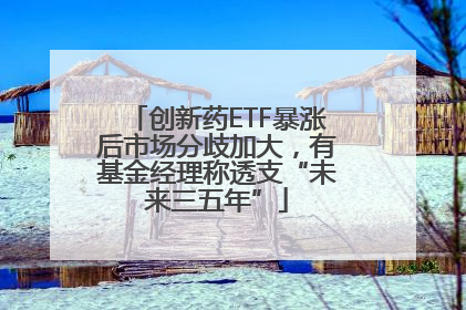 创新药ETF暴涨后市场分歧加大，有基金经理称透支“未来三五年”