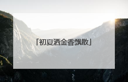初夏洒金香飘散