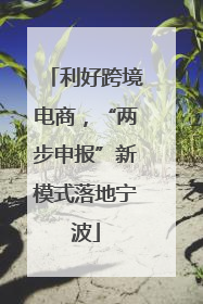 利好跨境电商，“两步申报”新模式落地宁波