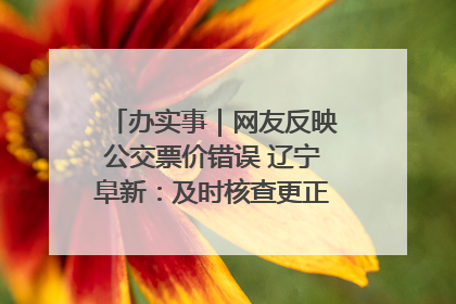 办实事｜网友反映公交票价错误 辽宁阜新：及时核查更正 加强实时巡检