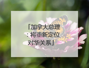 加拿大总理：将重新定位对华关系