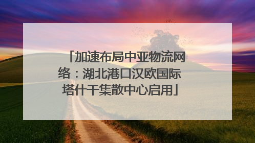 加速布局中亚物流网络：湖北港口汉欧国际塔什干集散中心启用