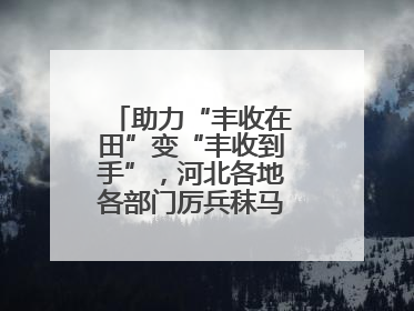 助力“丰收在田”变“丰收到手”，河北各地各部门厉兵秣马迎战“三夏”