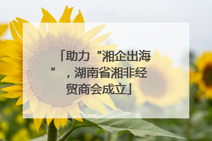 助力“湘企出海”，湖南省湘非经贸商会成立