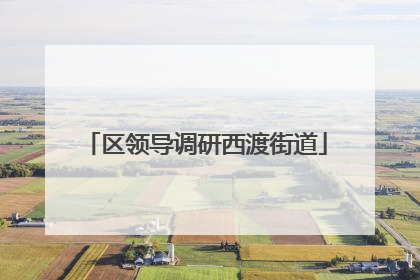 区领导调研西渡街道
