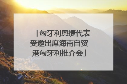匈牙利恩捷代表受邀出席海南自贸港匈牙利推介会