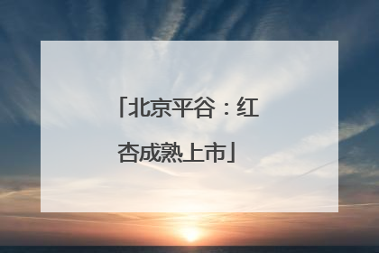 北京平谷：红杏成熟上市