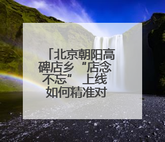 北京朝阳高碑店乡“店念不忘” 上线 如何精准对接民生需求