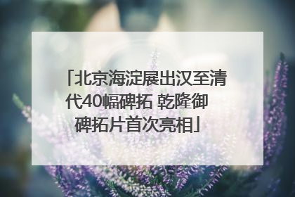 北京海淀展出汉至清代40幅碑拓 乾隆御碑拓片首次亮相