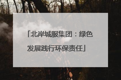 北岸城服集团：绿色发展践行环保责任