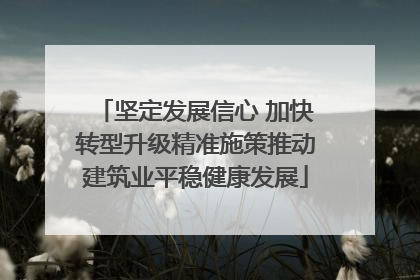 坚定发展信心 加快转型升级精准施策推动建筑业平稳健康发展