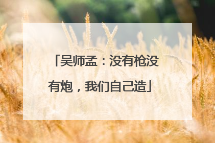 吴师孟：没有枪没有炮，我们自己造