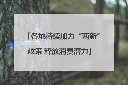 各地持续加力“两新”政策 释放消费潜力