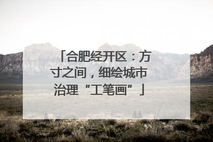 合肥经开区：方寸之间，细绘城市治理“工笔画”