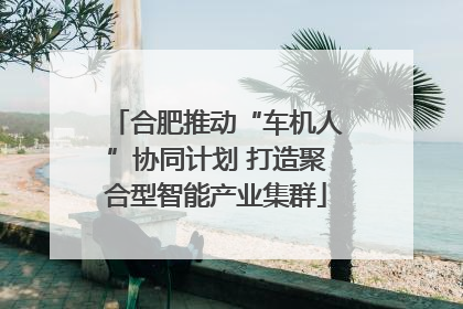 合肥推动“车机人”协同计划 打造聚合型智能产业集群