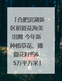 合肥滨湖新区初夏花海美出圈 今年新种植草花、播撒花籽约6.5万平方米