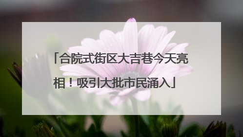 合院式街区大吉巷今天亮相！吸引大批市民涌入