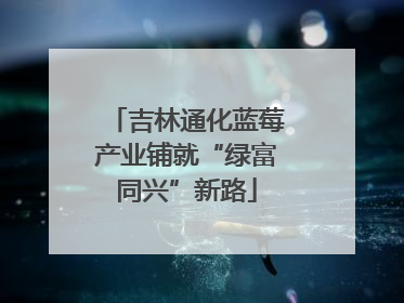 吉林通化蓝莓产业铺就“绿富同兴”新路