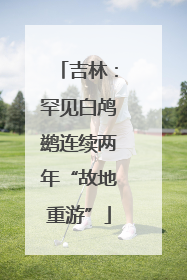 吉林：罕见白鸬鹚连续两年“故地重游”