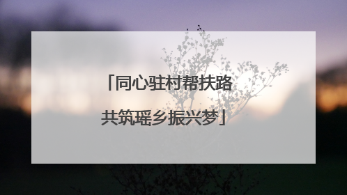 同心驻村帮扶路 共筑瑶乡振兴梦