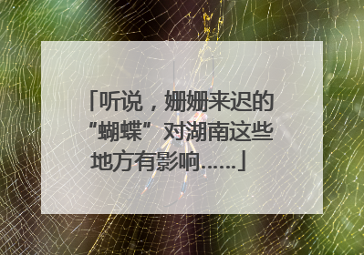 听说，姗姗来迟的“蝴蝶”对湖南这些地方有影响……