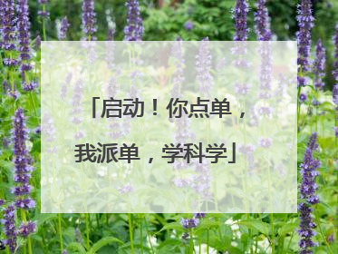 启动！你点单，我派单，学科学