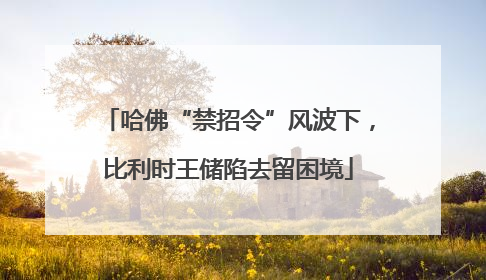 哈佛“禁招令”风波下，比利时王储陷去留困境