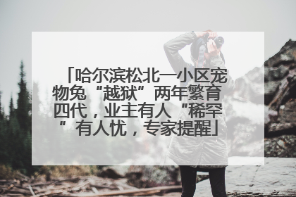 哈尔滨松北一小区宠物兔“越狱”两年繁育四代，业主有人“稀罕”有人忧，专家提醒