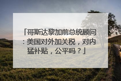 哥斯达黎加前总统顾问：美国对外加关税，对内猛补贴，公平吗？