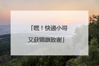 嘿！快递小哥又获锦旗致谢