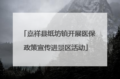 嘉祥县纸坊镇开展医保政策宣传进景区活动