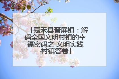 嘉禾县晋屏镇：解码全国文明村镇的幸福密码之 文明实践·村镇答卷