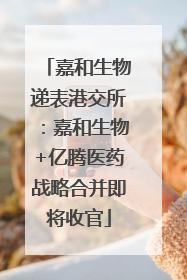 嘉和生物递表港交所：嘉和生物+亿腾医药战略合并即将收官