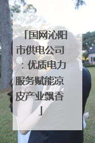 国网沁阳市供电公司：优质电力服务赋能凉皮产业飘香