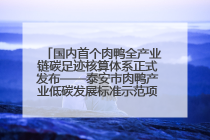 国内首个肉鸭全产业链碳足迹核算体系正式发布——泰安市肉鸭产业低碳发展标准示范项目顺利通过验收